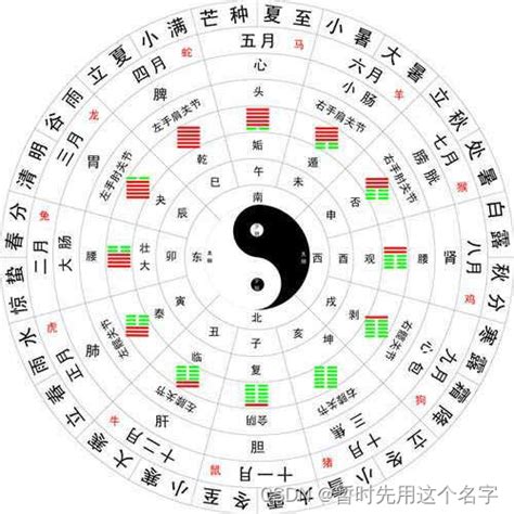 天干 時間|天干和地支｜香港天文台(HKO)｜历